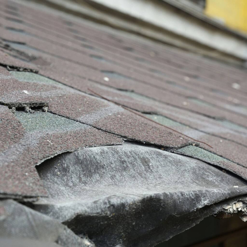 Stormschade