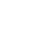 BMI wit
