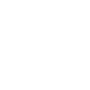 Festool wit