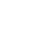 BMI wit